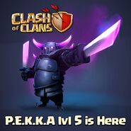 Pekka