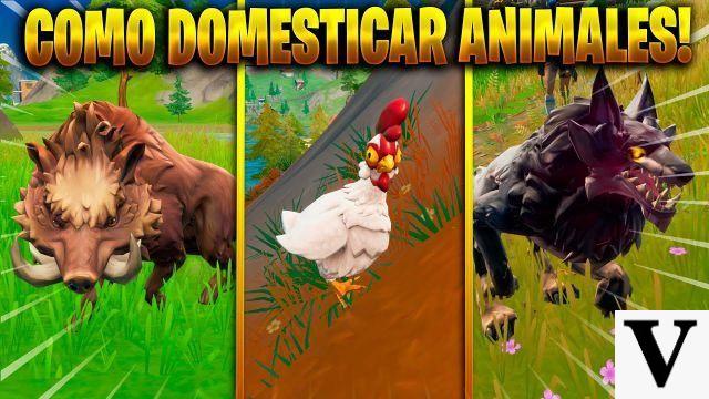 Locais de lobos e javalis em Fortnite: como domesticá-los e montá-los no jogo