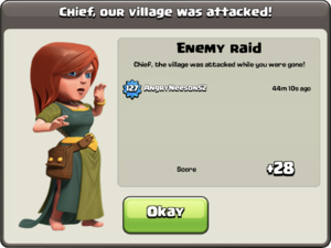 Raids