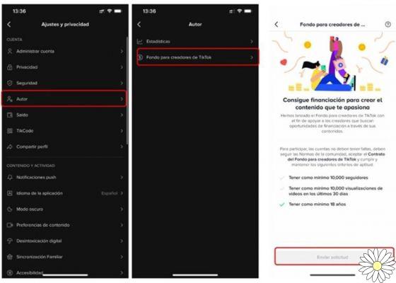 How to earn money on TikTok? Discover the keys to monetize your account