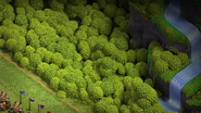 Landscapes