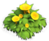 Obstáculos